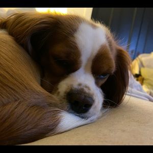 Meet your Posher, Teri